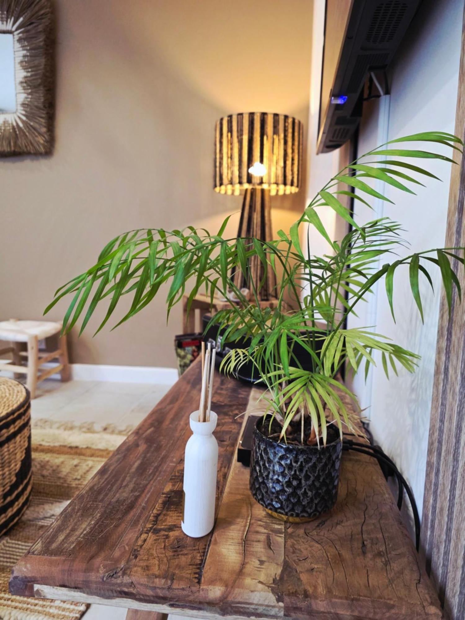 Boho Nest Apartment